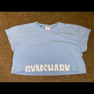 Gymshark Fraction Crop Top